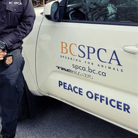 BC SPCA Tri.